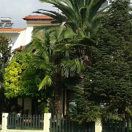 Magnolia PalaiónTsiflíkion