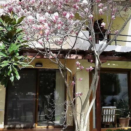 Magnolia Casa de Férias